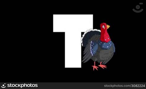 Animated zoological English alphabet. Alpha matte motion graphic. Cartoon Turkey in a foreground of a letter T