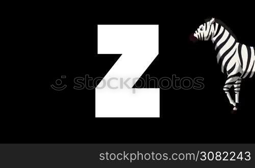 Animated zoological English alphabet. Alpha matte motion graphic. Cartoon Zebra in a background of a letter Z