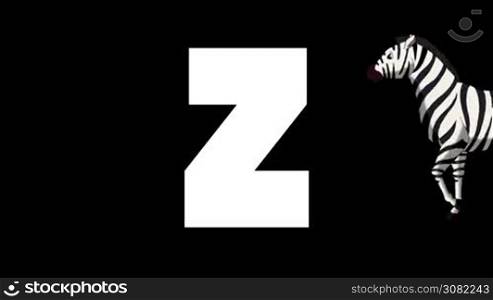 Animated zoological English alphabet. Alpha matte motion graphic. Cartoon Zebra in a background of a letter Z