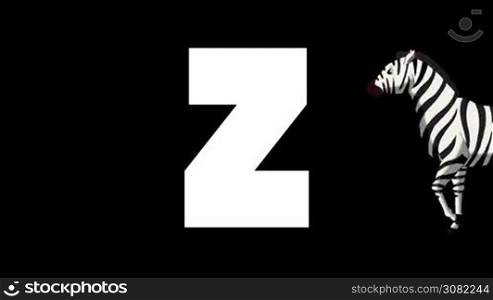 Animated zoological English alphabet. Alpha matte motion graphic. Cartoon Zebra in a foreground of a letter Z