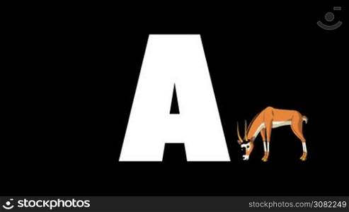 Animated zoological English alphabet. Alpha matte motion graphic. Cartoon Antelope in a background of a letter A