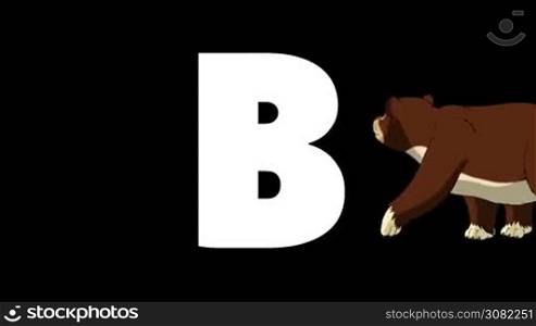Animated zoological English alphabet. Alpha matte motion graphic. Cartoon Bear in a background of a letter B