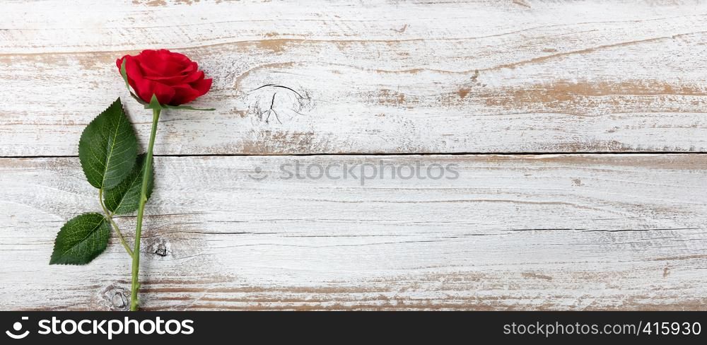 Anniversary background with a single red rose on white rustic wood