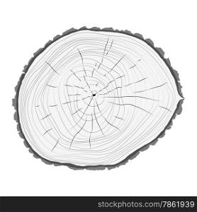 Annual tree growth rings logo icon. EPS10 vector.