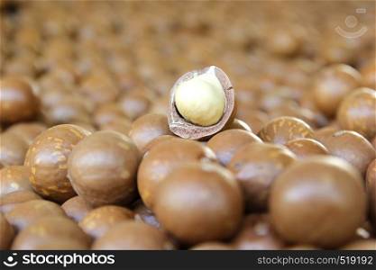 antioxidant fruits, pile of macadamia nuts background