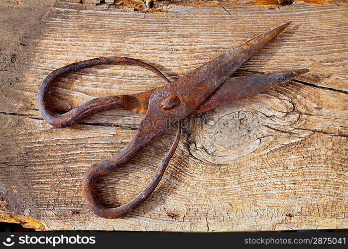 Antique sheep wool shears scissors vintage rusted on retro wood