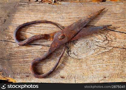 Antique sheep wool shears scissors vintage rusted on retro wood