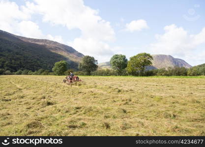 Antique tractor and threshing machine turns hay by Buttermere in English Lake District