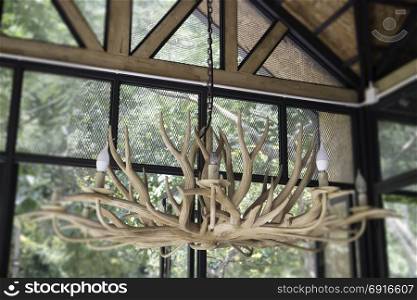 Antler chandelier decorated in glass room, stock phto