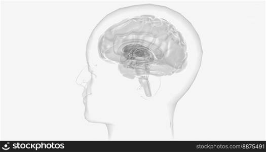 Anxiety disorder is a brain disorder that causes overwhelming anxious feelings that affect daily activities. 3D rendering. Anxiety disorder is a brain disorder that causes overwhelming anxious feelings that affect daily activities.