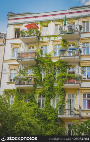 Apartment building covered with green Ivy plant