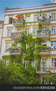Apartment building covered with green Ivy plant