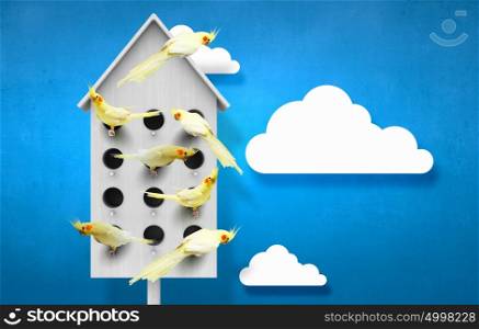 Apartments for friendly living. Conceptual image with nesting box and many birds living in it