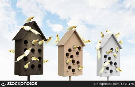 Apartments for friendly living. Many parrots living in one wooden nestling box
