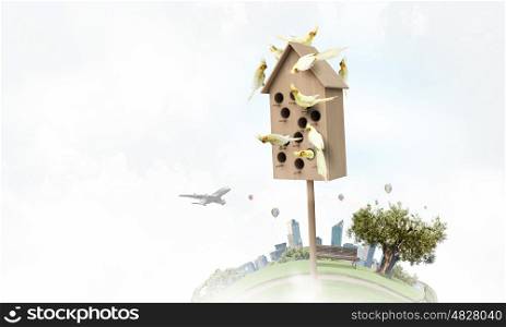 Apartments for friendly living. Many parrots living in one wooden nestling box