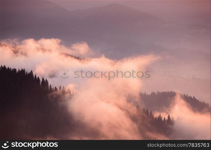 Appalachian mountains foggy morning, Tennessee, USA