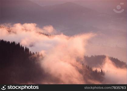 Appalachian mountains foggy morning, Tennessee, USA