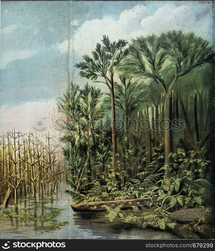 Appearance of the vegetation of a mid-Carboniferous landscape with the most important plant forms of this terrestrial period, vintage engraved illustration. From the Universe and Humanity, 1910.