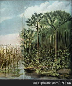 Appearance of the vegetation of a mid-Carboniferous landscape with the most important plant forms of this terrestrial period, vintage engraved illustration. From the Universe and Humanity, 1910.