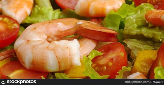 Appetizer: King prawn with lettuce, bell pepper, tomato (Selective Focus). King Prawn on Lettuce