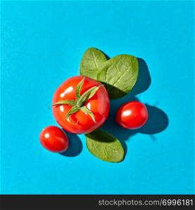 Appetizing organic tomatoes and green spinach leaves with shadow reflection on a blue background with space for text. Ingredients for Healthy Salad. Flat lay. Food composition of red tomatoes and fresh spinach leaves on a blue background with copy space and shadows. Flat lay