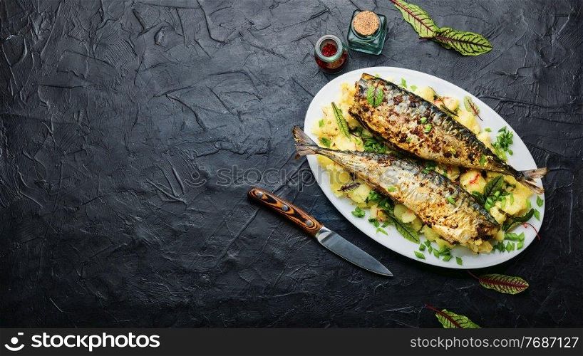 Appetizing roasted mackerel with boiled potatoes and herbs.Space for text. Baked scomber with potatoes,copy space