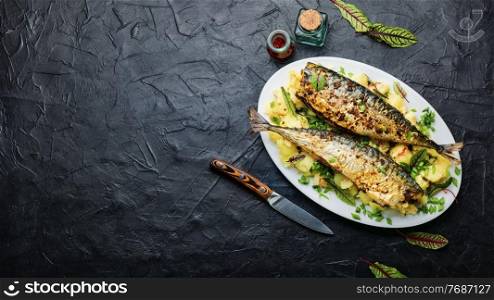 Appetizing roasted mackerel with boiled potatoes and herbs.Space for text. Baked scomber with potatoes,copy space