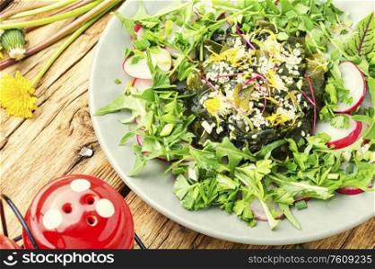 Appetizing salad of seaweed, herbs, sesame seeds and radishes.Fresh green salad. Salad with seaweed and herbs