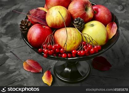 Apple and viburnum. Bowl on the leg with the autumn harvest of apples and a bunch of viburnum