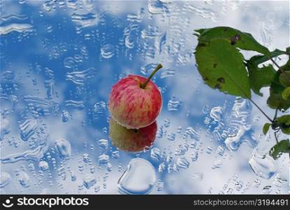 Apple and water droplets on glass