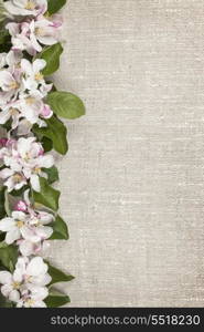 Apple blossoms border. Border of pink apple blossoms row with linen background