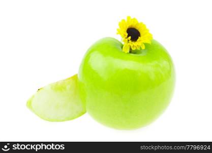 apple flower isolated on white