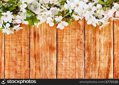 apple flowers branch on wooden background