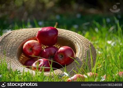 apple fruit food nature cap