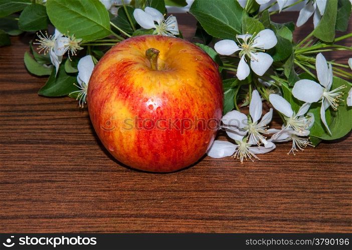 Apple fruit of the Apple tree, which is eaten fresh, serves as a raw material in food and drink