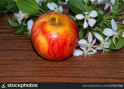 Apple fruit of the Apple tree, which is eaten fresh, serves as a raw material in food and drink