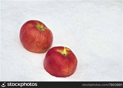 Apple fruit refrigerate in the snow-drift at garden, Sofia, Bulgaria