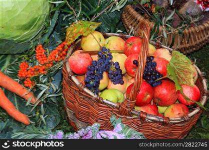 apple in basket on rural market