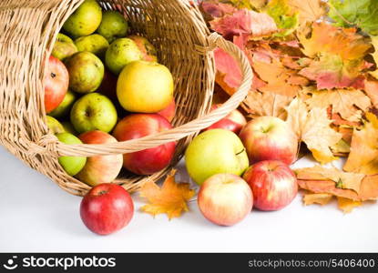 Apple in basket, scattering on white background