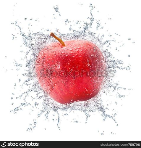 Apple in Water Isolated on White Background. Photo.