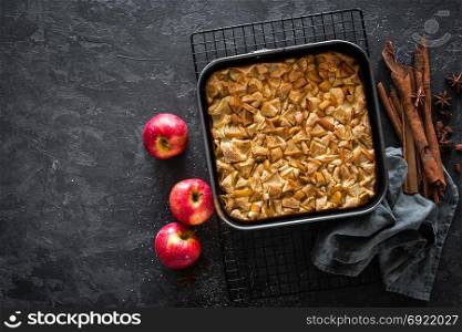 Apple pie with cinnamon, top view