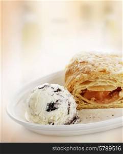 Apple Strudel with Ice Cream in a White Bowl