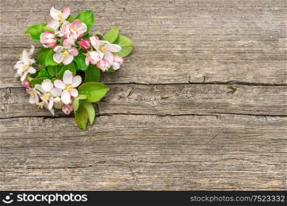 Apple tree flowers on wooden background. Floral arrangement