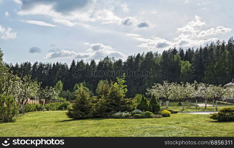 Apple-tree garden and ornamental vegetation in the forest