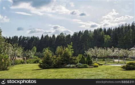 Apple-tree garden and ornamental vegetation in the forest