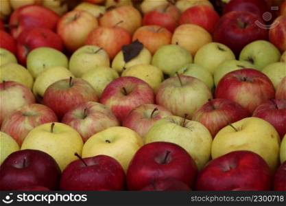 apple varieties in a row ordered for sale