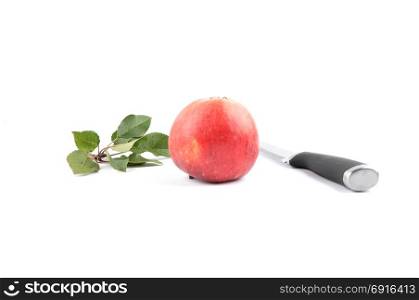 Apple with knife and leaves on white
