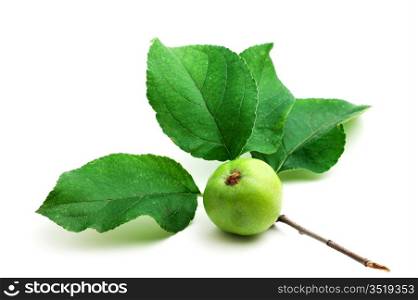 apple with leaf isolated on white background