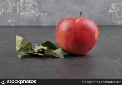 Apple with leaves on shale