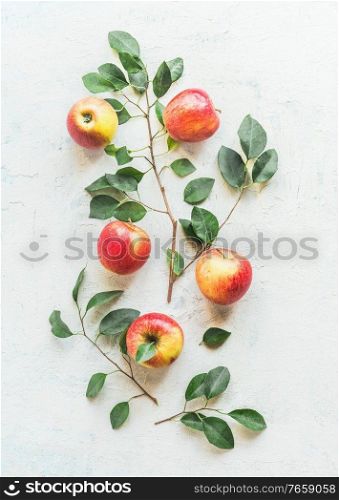 Apples and apple tree twigs with green leaves pattern on white background. Top view